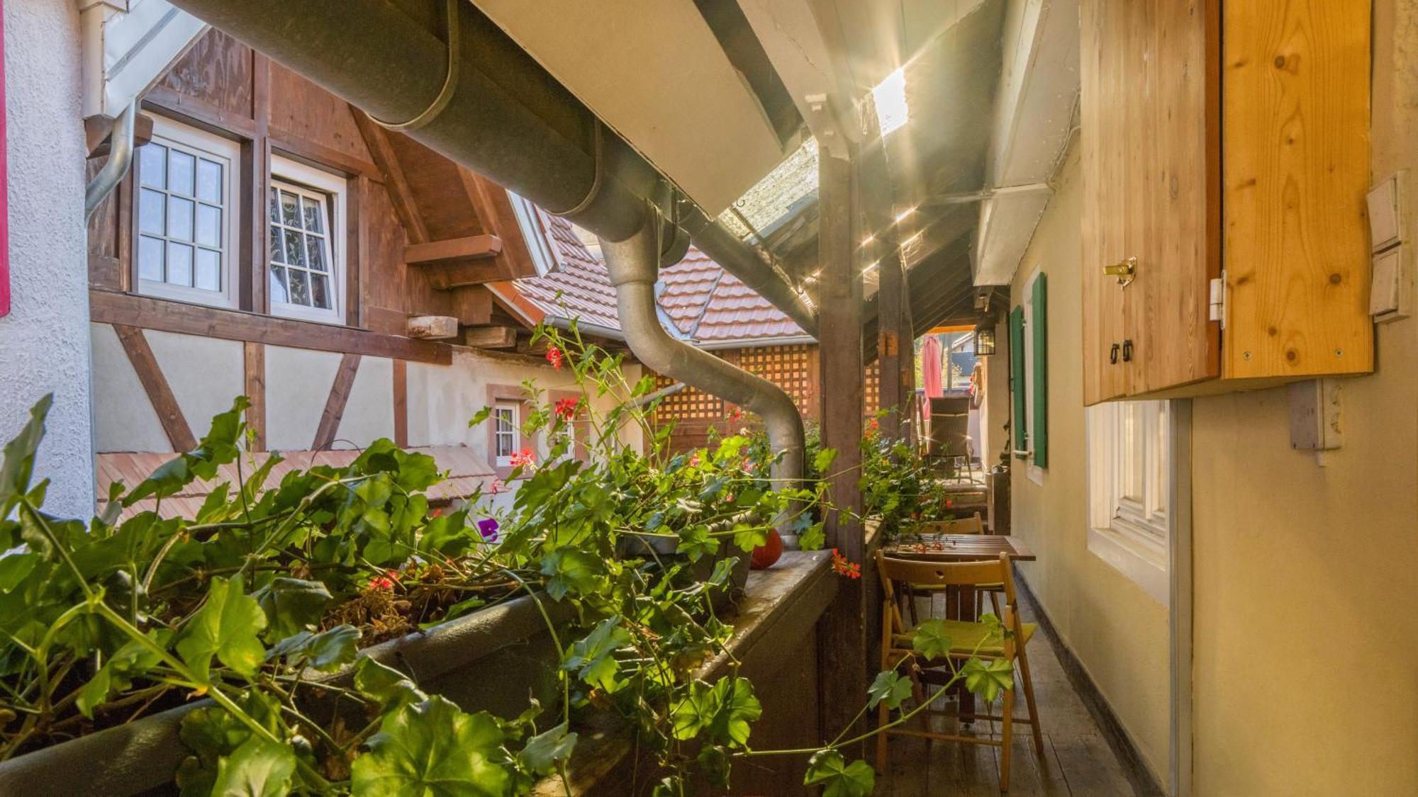 Ferienwohnungen Altes Rathaus Vogtsburg Esterno foto